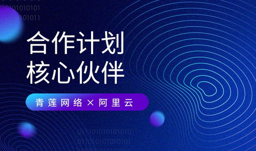 青莲网络 携手阿里云，共建云原生及MSP合作新生态