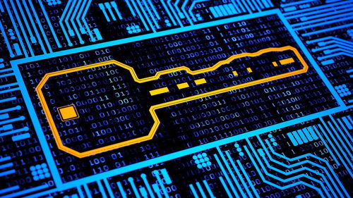 向敏 镜花水月的场景如何催眠区块链价值创造的核心与未来企业网络技术服务